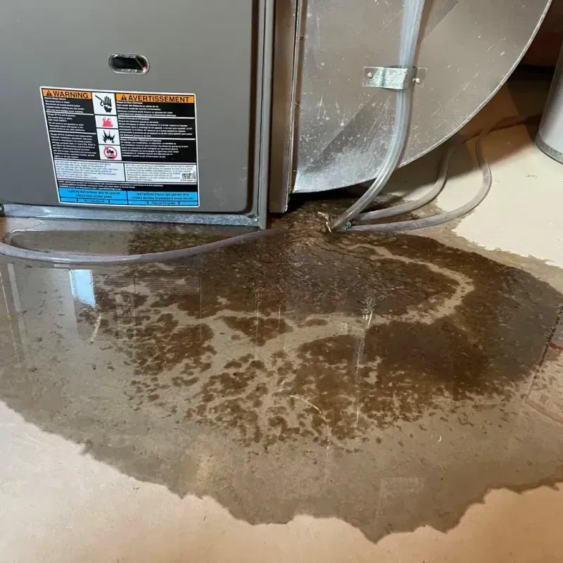 Appliance Leak Cleanup in Faulk County, SD